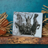 Boadicea, 1850er (Bronze) (siehe auch 33580) Fotoplatte (Seite)