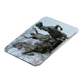 Boadicea, 1850er (Bronze) (siehe auch 33580) Magnet (Linke Seite)
