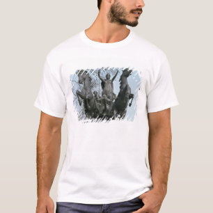 Boadicea, 1850s (Bronze) (sehen Sie auch 33580) T-Shirt