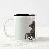 Boadicea, 1902 zweifarbige tasse (Links)