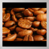 Boans Galore Poster (Vorne)