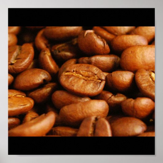 Boans Galore Poster (Vorne)