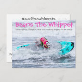 Boans Surfdog Postkarte (Vorne/Hinten)