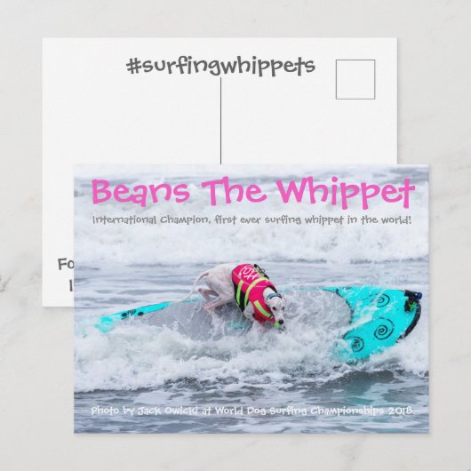 Boans Surfdog Postkarte (Vorne/Hinten)