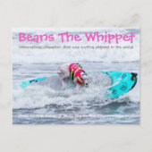 Boans Surfdog Postkarte (Vorderseite)