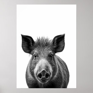 Boar Pig Woodland Modernes Portrait Schwarz-weiß Poster