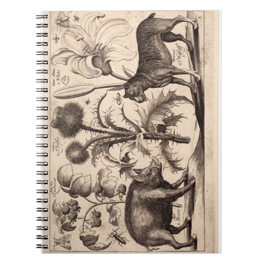 Boar und Mastiff Notizblock (Vorderseite)