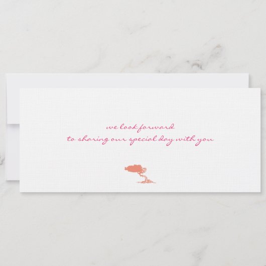 Boarding-Durchlauf zur Aruba-Hochzeits-Einladung Einladung (Rückseite)