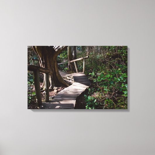 Boardwalk bis Cape Flattery Leinwanddruck (Vorderseite)