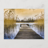 Boardwalk Dock am Fluss Ukraine Postkarte (Vorderseite)