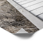 Boardwalk durch die Wüste Poster (Ecke)