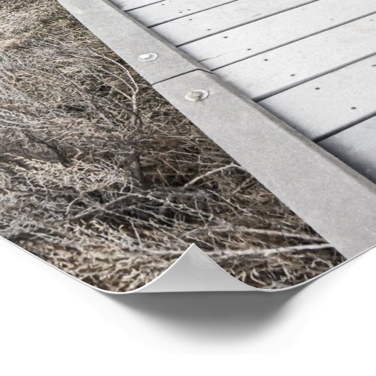 Boardwalk durch die Wüste Poster (Ecke)