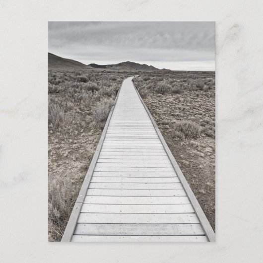Boardwalk durch die Wüste Postkarte (Vorderseite)
