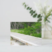 Boardwalk in Davis Park Postkarte (Stehend Vorderseite)