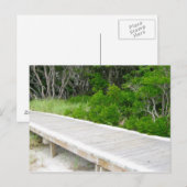 Boardwalk in Davis Park Postkarte (Vorne/Hinten)