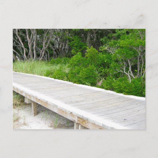 Boardwalk in Davis Park Postkarte (Vorderseite)