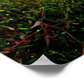 Boardwalk Poster (Ecke)