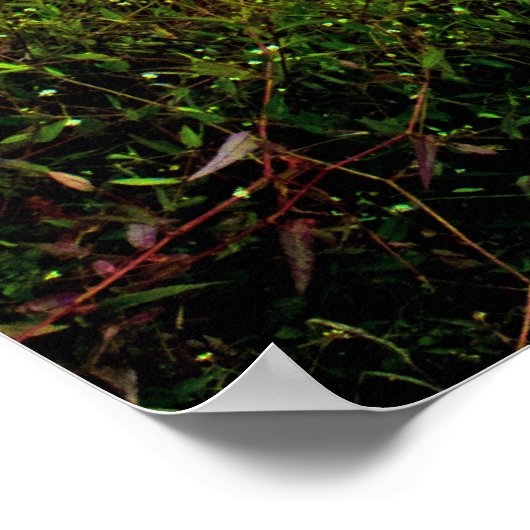 Boardwalk Poster (Ecke)