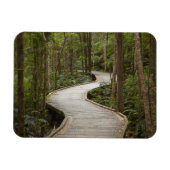 Boardwalk to Nelson Falls, Franklin - Gordon Magnet (Horizontal)