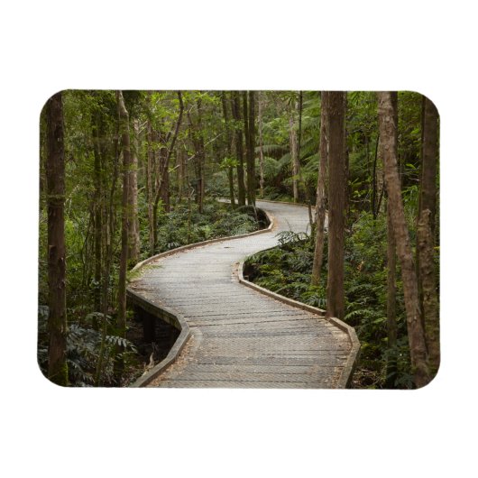 Boardwalk to Nelson Falls, Franklin - Gordon Magnet (Horizontal)