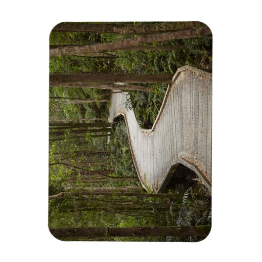 Boardwalk to Nelson Falls, Franklin - Gordon Magnet (Vertikal)