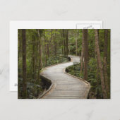 Boardwalk to Nelson Falls, Franklin - Gordon Postkarte (Vorne/Hinten)
