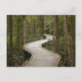 Boardwalk to Nelson Falls, Franklin - Gordon Postkarte (Vorderseite)