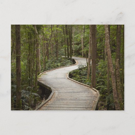 Boardwalk to Nelson Falls, Franklin - Gordon Postkarte (Vorderseite)