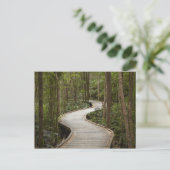 Boardwalk to Nelson Falls, Franklin - Gordon Postkarte (Stehend Vorderseite)