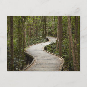 Boardwalk to Nelson Falls, Franklin - Gordon Postkarte