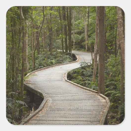 Boardwalk to Nelson Falls, Franklin - Gordon Quadratischer Aufkleber (Vorderseite)