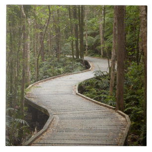 Boardwalk zu Nelson Falls, Franklin - Gordon Fliese
