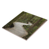 Boardwalk zu Nelson Falls, Franklin - Gordon Fliese (Seite)