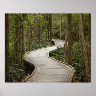 Boardwalk zu Nelson Falls, Franklin - Gordon Poster