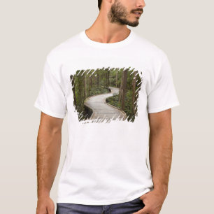 Boardwalk zu Nelson Falls, Franklin - Gordon T-Shirt