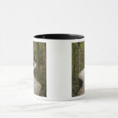 Boardwalk zu Nelson Falls, Franklin - Gordon Tasse (Zentrum)