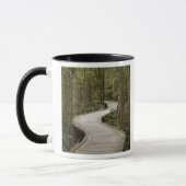 Boardwalk zu Nelson Falls, Franklin - Gordon Tasse (Links)