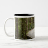 Boardwalk zu Nelson Falls, Franklin - Gordon Zweifarbige Tasse (Links)