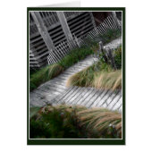 Boardwanderweg (Vorne)