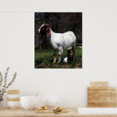 Boat Goat Mother und Baby Poster Print (Küche)