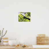Boat-Taille Grackle Bird Poster (Küche)