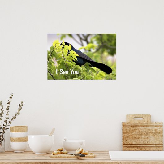 Boat-Taille Grackle Bird Poster (Küche)