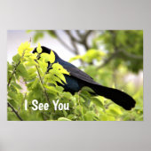 Boat-Taille Grackle Bird Poster (Vorne)