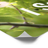 Boat-Taille Grackle Bird Poster (Ecke)