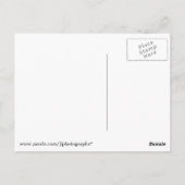 Boathouse Row dusk Postkarte (Rückseite)