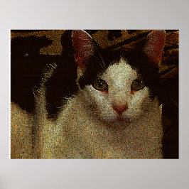 Bob der Ernsthafte Poster