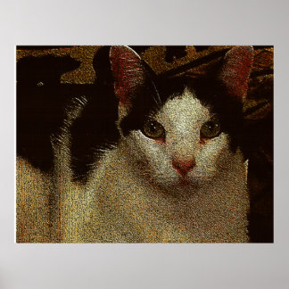 Bob der Ernsthafte Poster