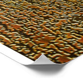 Bob der Ernsthafte Poster (Ecke)