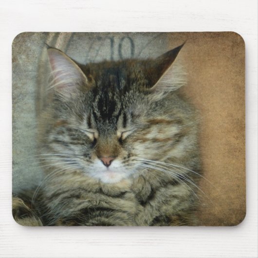 Bob der Katze Mousepad (Vorne)