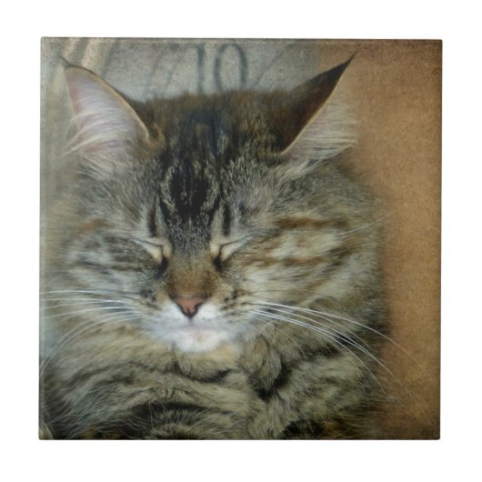 Bob Fliese (Vorderseite)